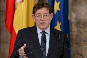 La Senyera social- (foto 1)