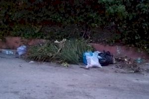 Las basuras de Torrevieja - una permanente chapuza archimillonaria- (foto 2)