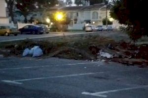 Las basuras de Torrevieja - una permanente chapuza archimillonaria- (foto 3)