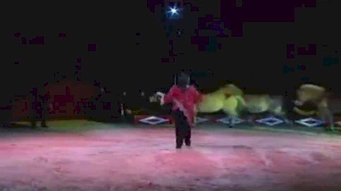 Pleno - Manifestación Animales Circo No