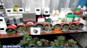 Marihuana en una vivienda de Almassora