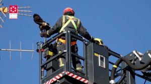 Una águila queda enganchada a una antena de un edificio de Almassora