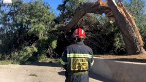 El vent arranca teulades, arbres i causa incendis a Castelló