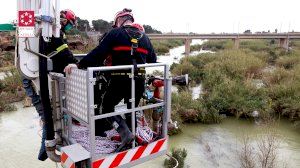 Apareix el cadàver d'un home junt al riu a Almassora