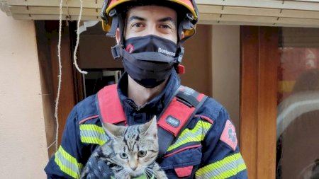 Rescate de un gato que cayó a un pozo en Teulada