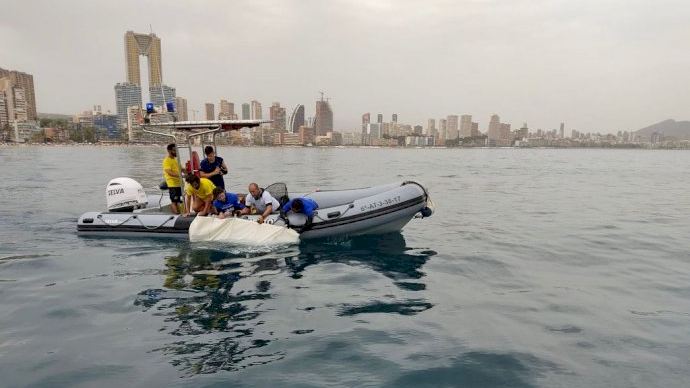 Así fue la captura y suelta a mar abierto del tiburón azul varado ayer en la playa de Benidorm