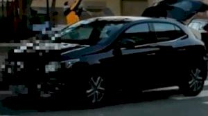 Buscan al hombre que lanzó una paloma al aire atada a una cuerda en Petrer