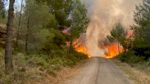 Desalojan a los vecinos de Caudiel por la proximidad del incendio forestal Desalojan a los vecinos de Caudiel por la proximidad del incendio forestal
