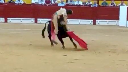 José Tomás realitza una increïble gesta a Alacant després de patir una rebolcada en el tercer bou