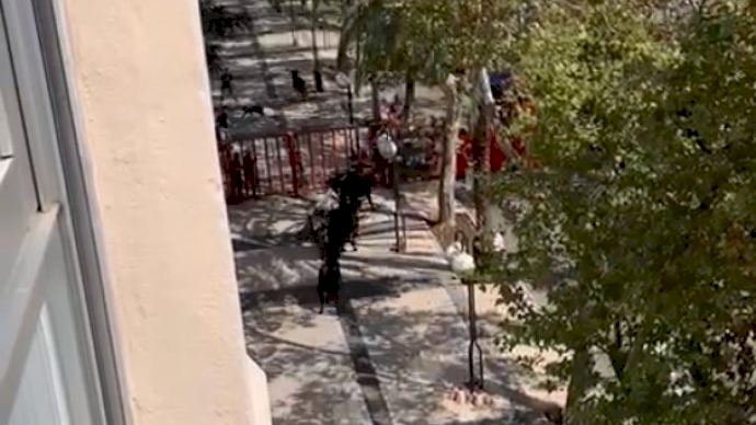 Una vaquilla se escapa del recinto taurino de Benicàssim y causa alarma en las calles