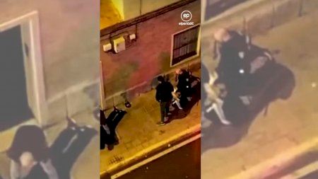 Investigan un video en el que un policía patea la cabeza de un detenido en Elche hasta dejarle inconsciente