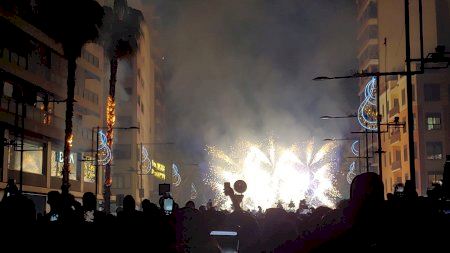 Dos palmeras de Castelló sufren el envite de la Nit Màgica