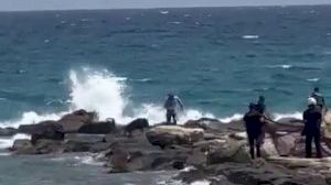 VIDEO | Un jabalí hiere a dos personas y obliga a desalojar una playa