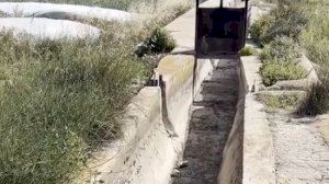 Et sorprendràs de veure el que baixa per una séquia de reg d’Alacant Et sorprendràs de veure el que baixa per una séquia de reg d’Alacant