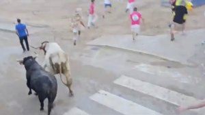 Un hombre se lleva un buen susto durante el encierro de Les Penyes en la Vall d’Uixó