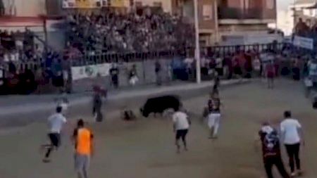 Herido grave en los bous al carrer de Llíria