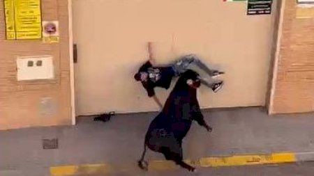 Herido grave un joven tras una brutal cogida en los toros de Massamagrell