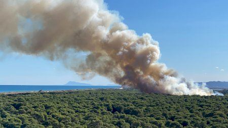 Búsqueda sin descanso del pirómano que ha provocado innumerables incendios en El Saler