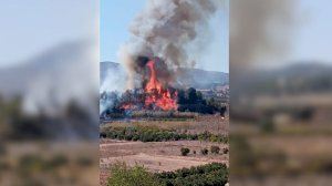 Nou incendi a Montroi poc de temps després de controlar el de Real Nou incendi a Montroi poc de temps després de controlar el de Real