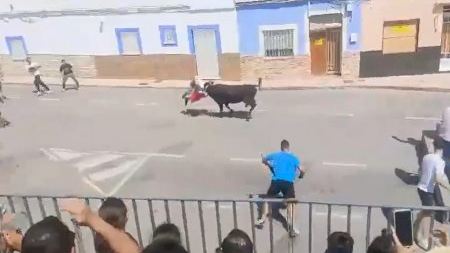 Segunda y aparatosa cogida esta semana en los 'bous al carrer' de Cullera