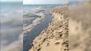 Un vessament de fuel taca de negre les platges del Saler de València Un vessament de fuel taca de negre les platges del Saler de València