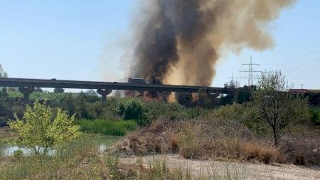 VÍDEO | La Guàrdia Civil talla la N-340 a l'altura d'Almassora per un incendi de vegetació que s'ha deslligat aquest matí