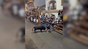 Con pronóstico reservado el joven herido tras la grave cogida en los ‘bous al carrer’ de Calp Con pronóstico reservado el joven herido tras la grave cogida en los ‘bous al carrer’ de Calp