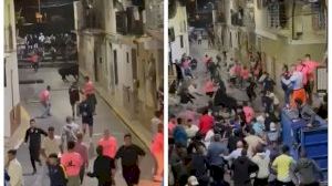 Impactante escena en los bous al carrer de Quart de les Valls: un toro se lleva el pilón por delante y lo arrastra hasta la barrera