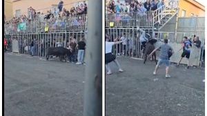 Impactant doble agafada a uns aficionats en els bous de Benimàmet