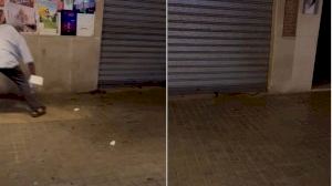 Tensión en una calle de Sueca al aparecer una culebra de 1,5 metros Tensión en una calle de Sueca al aparecer una culebra de 1,5 metros