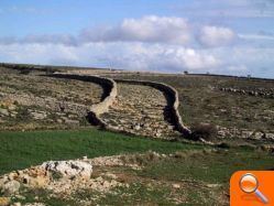 Vilafranca exhibirá un muro de piedra en seco construido expresamente para la Feria de Turismo de Valencia - (foto 2)