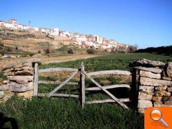Vilafranca exhibirá un muro de piedra en seco construido expresamente para la Feria de Turismo de Valencia - (foto 3)