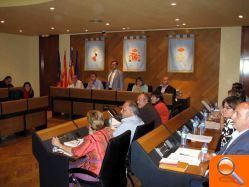 Una manifestación del paro agrícola vuelve a erigirse como protagonista del pleno - (foto 5)