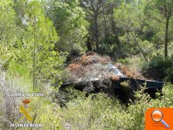 Ocultaban en la montaña una plantación de cerca de 2000 plantas de marihuana - (foto 3) Ocultaban en la montaña una plantación de cerca de 2000 plantas de marihuana - (foto 3)