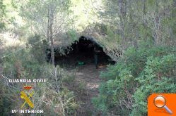 Ocultaban en la montaña una plantación de cerca de 2000 plantas de marihuana - (foto 5) Ocultaban en la montaña una plantación de cerca de 2000 plantas de marihuana - (foto 5)
