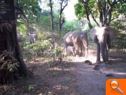 Las fotos más impactantes de Tanzania se podrán ver en la Casa de Cultura de Burjassot