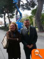 La Diputación inicia tareas de poda y limpieza de más de 20 pinos en Petrer a coste cero para el Ayuntamiento - (foto 2)