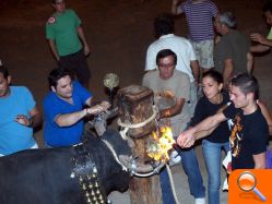 La peña Bourrianeres se estrena con éxito en la plaza