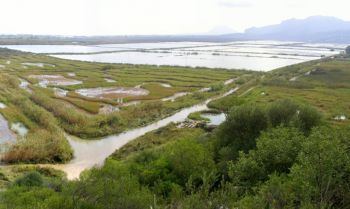 La Marjal de Pego-Oliva absorbe hasta 250 litros por metro cuadrado en dos días durante las últimas lluvias