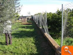 Sacrifican a varios animales de granja, incluida una oveja, en una alquería de las afueras de Burriana para llevarse la carne - (foto 2) Sacrifican a varios animales de granja, incluida una oveja, en una alquería de las afueras de Burriana para llevarse la carne - (foto 2)