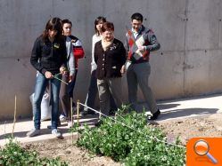 La VI Feria de Medio Ambiente expone en más de treinta talleres con trucos para reciclar y reducir el consumo de energía - (foto 3) La VI Feria de Medio Ambiente expone en más de treinta talleres con trucos para reciclar y reducir el consumo de energía - (foto 3)
