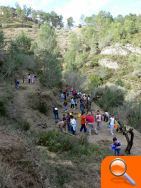 Medio Ambiente y el Ayuntamiento de Enguera plantan 1.400 árboles en el Paraje Natural Municipal “Umbria La Plana” - (foto 2)