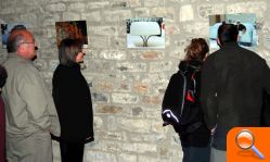 Morella revive la gran nevada de enero - (foto 3)