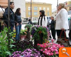 Celia Lledó inaugura la V Feria de las Flores - (foto 3) Celia Lledó inaugura la V Feria de las Flores - (foto 3)