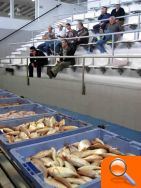 El sector pesquero de Burriana no ve futuro si no les autorizan a faenar a partir de las tres millas de la costa en aguas de Valencia - (foto 3)