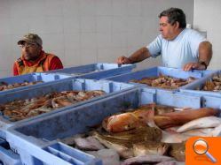 El sector pesquero de Burriana no ve futuro si no les autorizan a faenar a partir de las tres millas de la costa en aguas de Valencia - (foto 4)