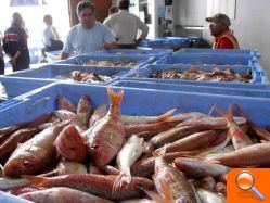 El sector pesquero de Burriana no ve futuro si no les autorizan a faenar a partir de las tres millas de la costa en aguas de Valencia - (foto 5)