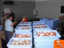 El sector pesquero de Burriana no ve futuro si no les autorizan a faenar a partir de las tres millas de la costa en aguas de Valencia - (foto 6)