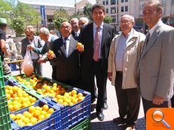 Más de 230 agricultores han participado en la primera edición del Mercado de la Naranja de Castellón consiguiendo vender al consumidor 150.000 kilos - (foto 2)