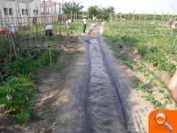 Los nuevos agricultores de Godella riegan por primera vez - (foto 2)